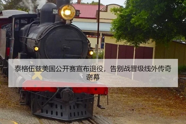 tai-ge-wu-zi-mei-guo-gong-kai-sai-xuan-bu-tui-yi-gao-bie-zhan-jin-ji-xian-wai-zhuan-qi-xie-mu-1-260.jpg